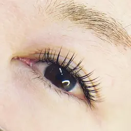 フラットラッシュ　80本​〜​120本　　4300円​〜​