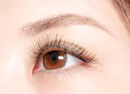 ボリュームラッシュ　500本　柔らか且つカールの落ちにくい毛質を厳選⭐