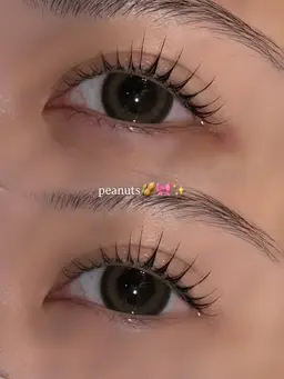 【平日限定】選べるまつ毛パーマ🌱　　　　　　🎀ケラチンtr+コーティング仕上げ🎀