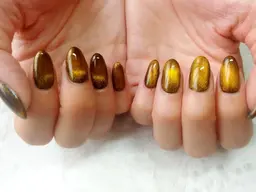 マグネットカラー