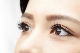 フラットラッシュ+コート付き【120本】