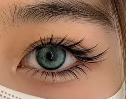 🐈‍⬛限定系_猫系/狐系魅力🌸大束感🌸(当店特定LCカール3D~6D) 🌸上まつ毛つけ放題 +コーティング🍭