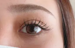 Ｗフラットラッシュ120本(30束x30束)