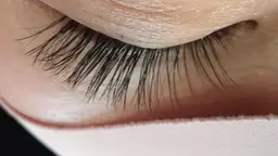 バインドロック120束