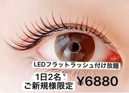 期间限定LEDフラットラッシュ付け放題130本保証