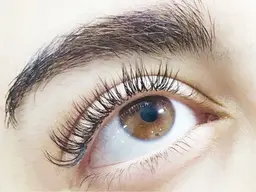 人気急上昇❤️‍🔥🖤ボリューム重視【バインドロック】80束🖤❤️‍🔥