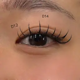 🩷ミニモ予約限定🩰‎🩷フラットラッシュ1時間付け放題【オフ無/リペア可/アイシャンプー付/コーティング付】🪷