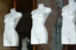 🦴【骨格診断＋骨格ダイエットアドバイス】1h　※私物チェック可能•ダイエットアドバイス資料付き