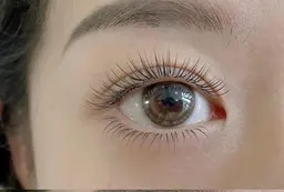 （下まつげ）フッラトラッシュ付け放題3000