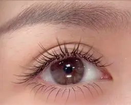 3Dボリュームラッシュ240本