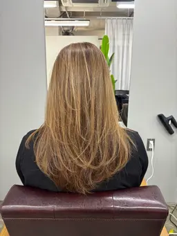 【平日限定クーポン❗️】似合わせカット＋白髪ぼかしハイライト＋艶感カラー✨