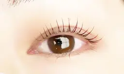 大人気🧡ラッシュリフト＋フラットラッシュ８０本