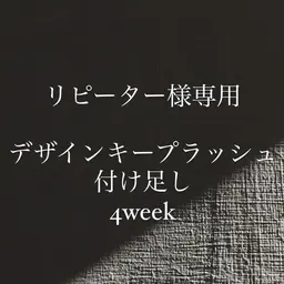 デザインキープラッシュ【4week以内付け足し】