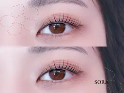 上下🎀パリジェンヌorラッシュリフト