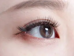 ボリュームラッシュ100束(off込み)