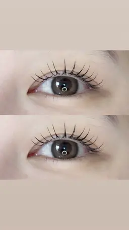 【モデル】シングル100本🪽‪フラット＋550円