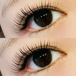 ❤️‍🔥SALE❤️‍🔥ボリュームラッシュ【4D・90分】JCDカール【8​〜​13mm】¥10000→¥7500