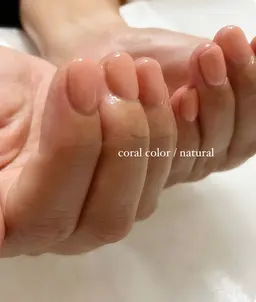 ワンカラー(オフ込み)