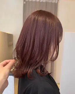 【1月限定】カット＋ホリスティックカラーモデル募集中✨