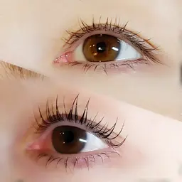 プランプラッシュリフト