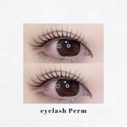 【タレ目デザイン】メーテルラッシュリフト