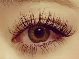 リペア☘️【マツエク2週間以内の上付け足し❣️】国産セーブル毛使用✨