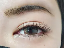 下まつ毛つけ放題