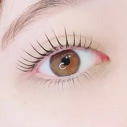 【新規】〈上下〉ラッシュリフト✨（パリジェンヌラッシュリフト変更可)ケラチントリートメント込み！