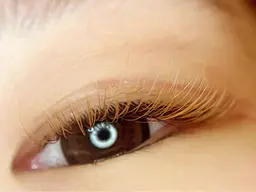 激レアクーポン🥰2月26日　2月27日限定🌸💓90分つけ放題カラーフラットラッシュ🩷☘️🎀