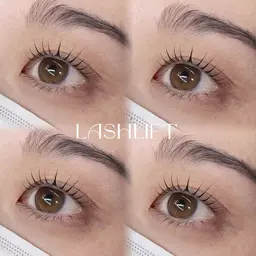 【🎀口コミ割🎀】まつげパーマ(トリートメント＋コーティング付き)