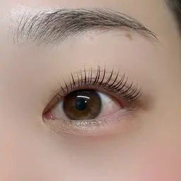 【3月限定】パリジェンヌ👀🤍