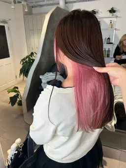 インナーカラー＋カラー (インナーリタッチもこちらで！)