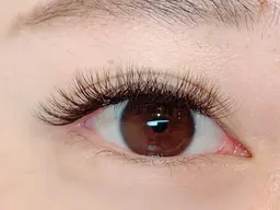 ボリュームラッシュ80束