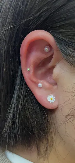 【花粉症モニター募集】鼻ムズムズ・くしゃみに◎耳つぼ体質改善ケア（期間限定）