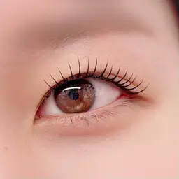 【minimo限定🌈ケラチンラッシュリフト💠】仕上げアイシャンプー＋コーティング付🫧+ケラチンTr🌿‬