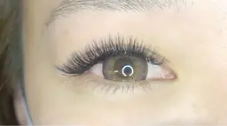 ボリュームラッシュ❤️120束 本数相談OK 120束以外はメッセージにてご連絡お願いします。時間、料金変更有り