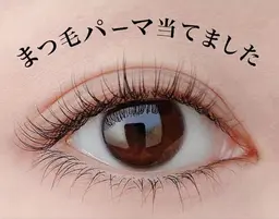 まつ毛パーマ上下回数券