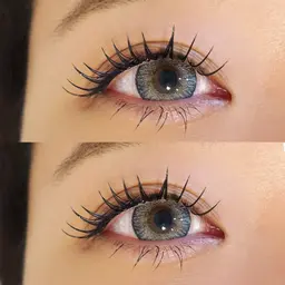 《新規》バインドロック80束