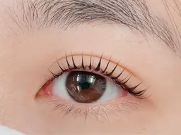 🫧まつ毛パーマ上下🫧　✨トリートメント仕上げ✨　長津田/