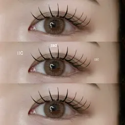 LED フラットラッシュ100本 (オフなし