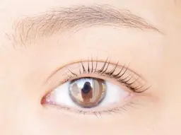 パリジェンヌラッシュリフト(次世代まつげパーマ)\6600⇒\3980　カルテ記入の為10分前にご来店お願い致します