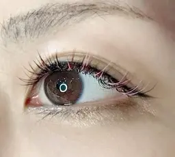 【平日限定！】まつげエクステ上下セット⭐️上150本＆下20本  トリートメントコーティング付き✨minimo特別価格！