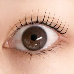 パリジェンヌラッシュリフト⭐コーティング付オフ＋500円​〜​