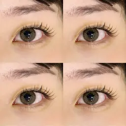 【ミニモ当日限定】🉐✳︎フラットラッシュ✳︎100〜120本🌼