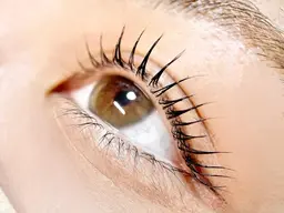 【OPEN記念】ラッシュリフトorパリジェンヌ¥5900→ ¥5400　[池袋]