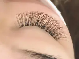 技術向上メニュー🌱ボリュームラッシュ🌱60分付け放題🕊️⚠️再来の方＋¥600