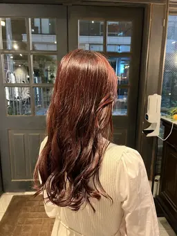 アディクシーカラー🌟アルティストカラー🌟