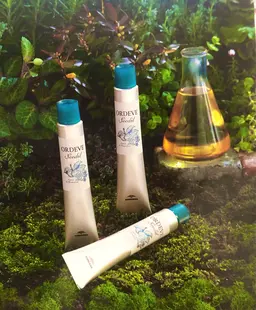 【オーガニック白髪染め】大人のオイルカラー⭐️艶感、透明感が圧倒的に違います！