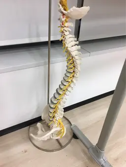 今流行りのAI診断🌟やりませんか?AIの検査と通常の検査で歪みをとりましょう^ ^