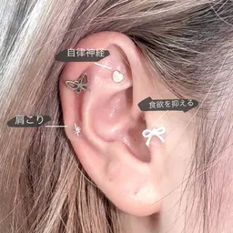 【10粒まで】耳つぼジュエリー💎💫